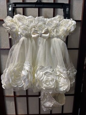 Ivory Floral Tulle Baby Dress with Rose Appliqués 3mo